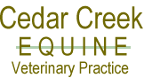 Cedar Creek Equine, Veterinary Service of Poway Ramona and Julian